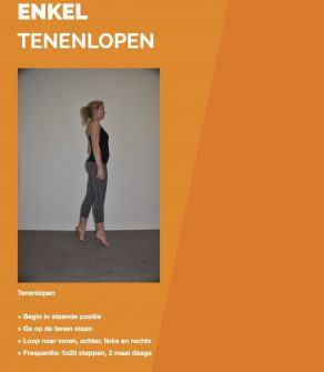 ENKEL | TENENLOPEN | HOS 1.16