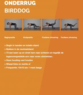 ONDERRUG | BIRDDOG | HOS 1.16