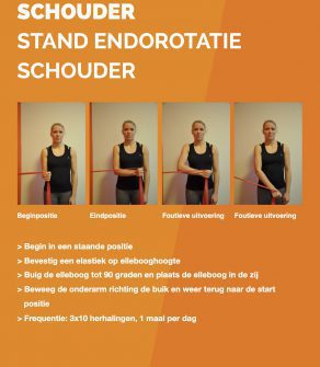 SCHOUDER | STAND ENDOROTATIE SCHOUDER | HOS 1.16